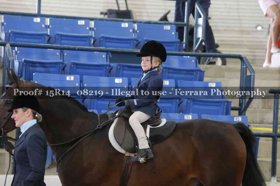 Proof Number 15R14_08219