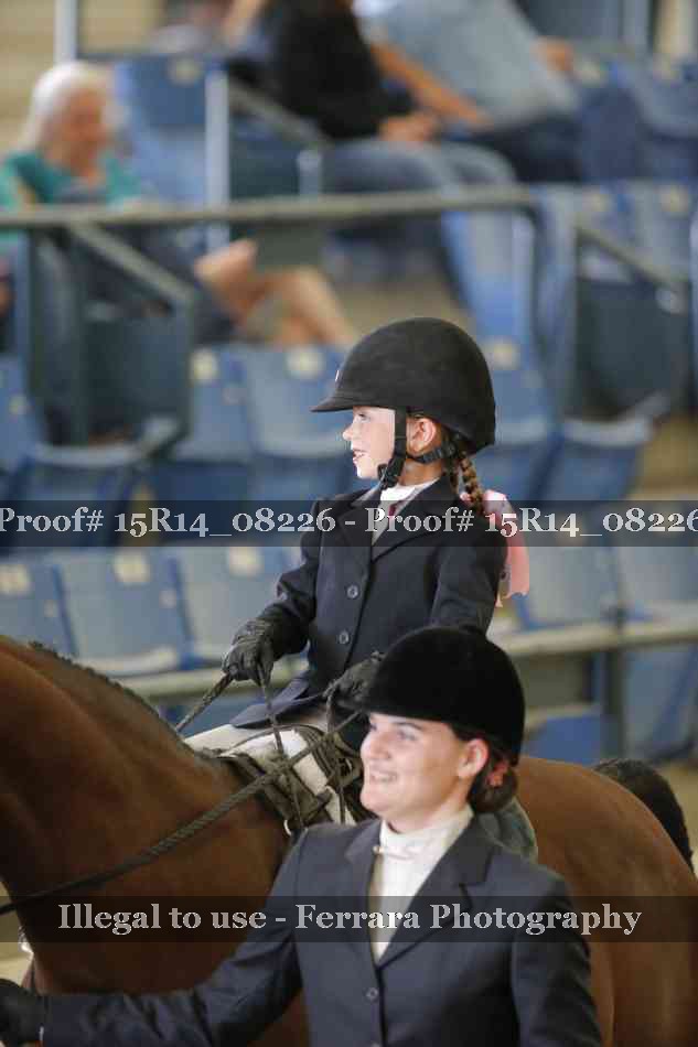 Proof Number 15R14_08226