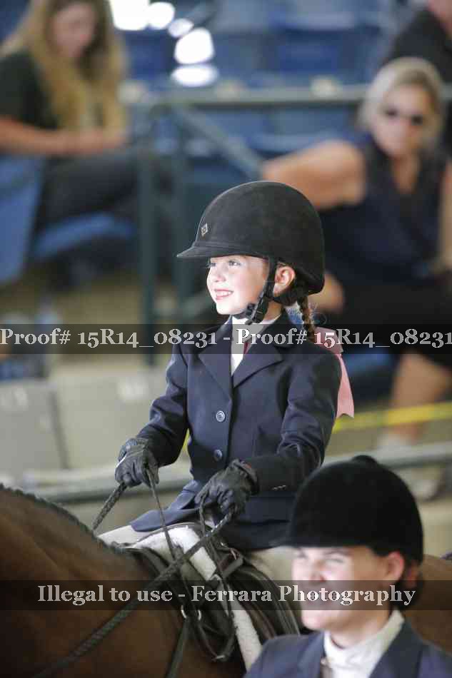Proof Number 15R14_08231