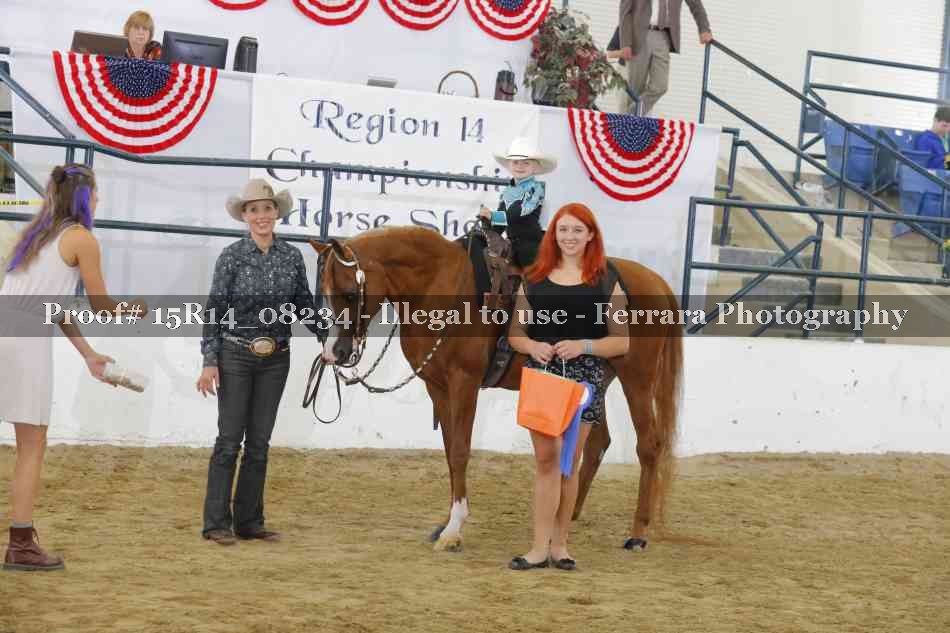 Proof Number 15R14_08234