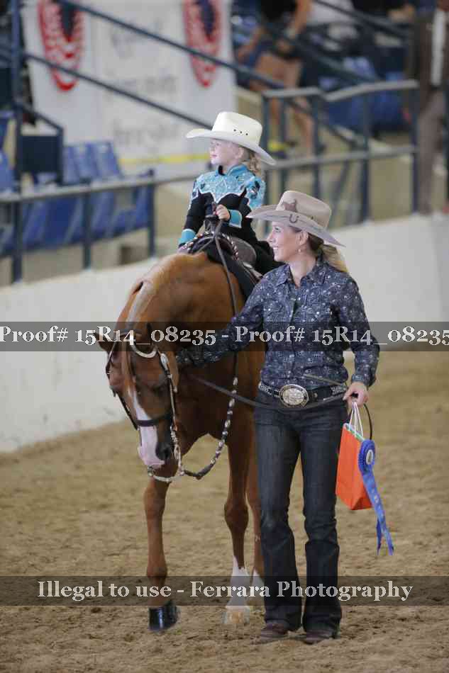 Proof Number 15R14_08235