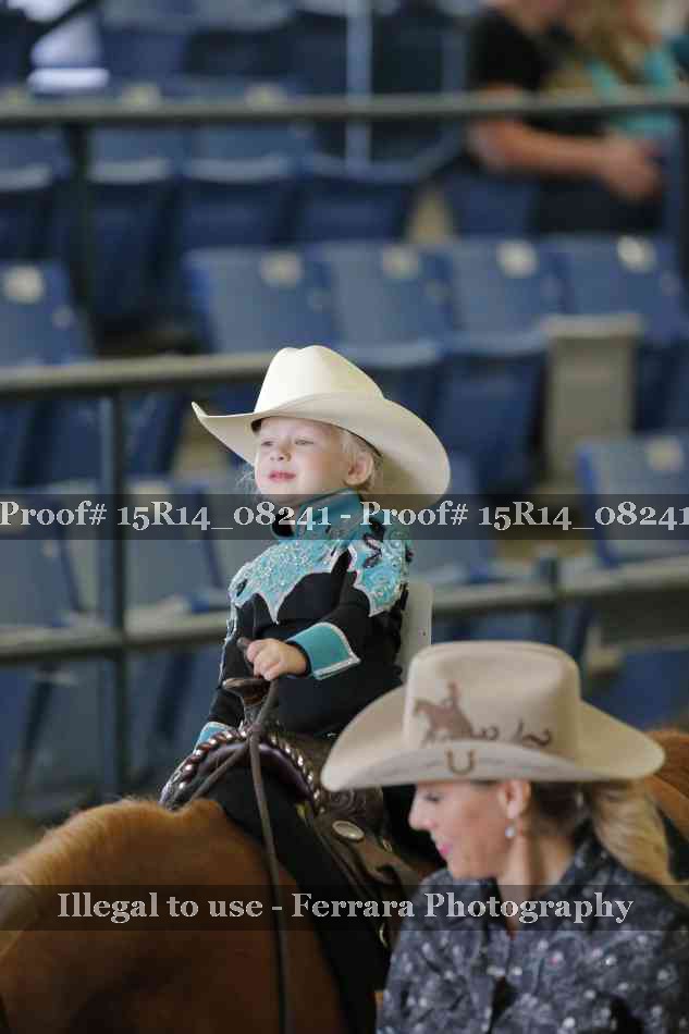 Proof Number 15R14_08241