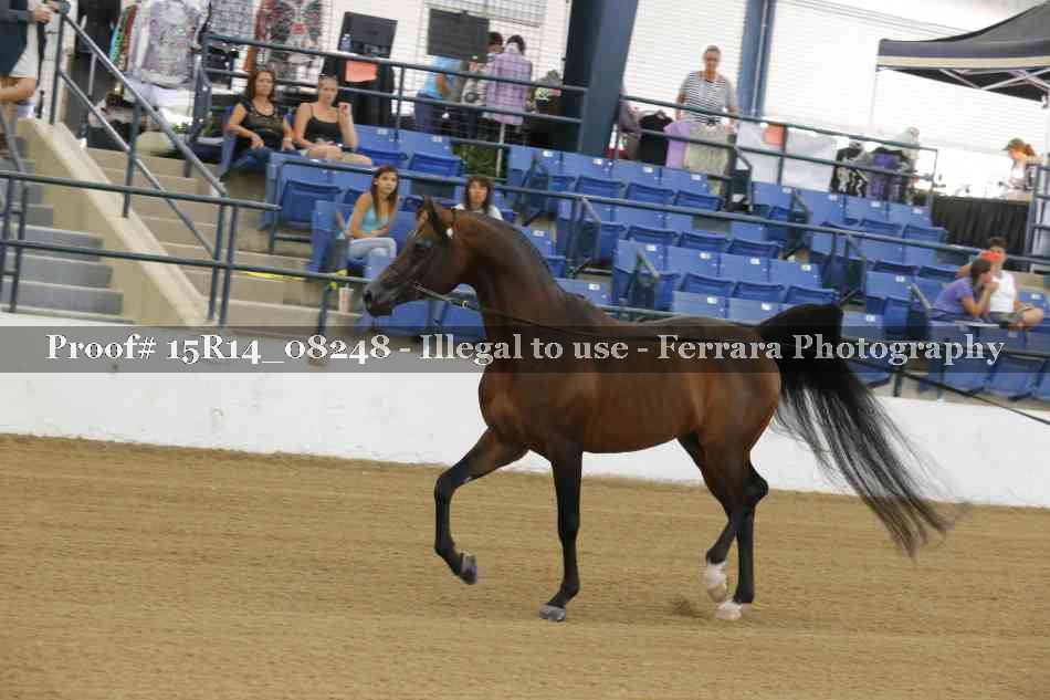 Proof Number 15R14_08248