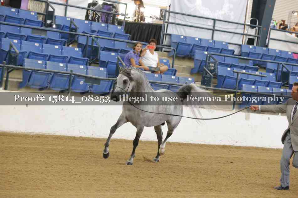 Proof Number 15R14_08253