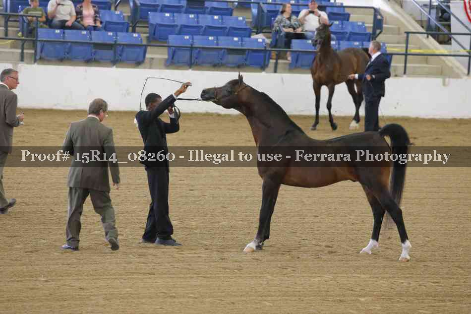 Proof Number 15R14_08260