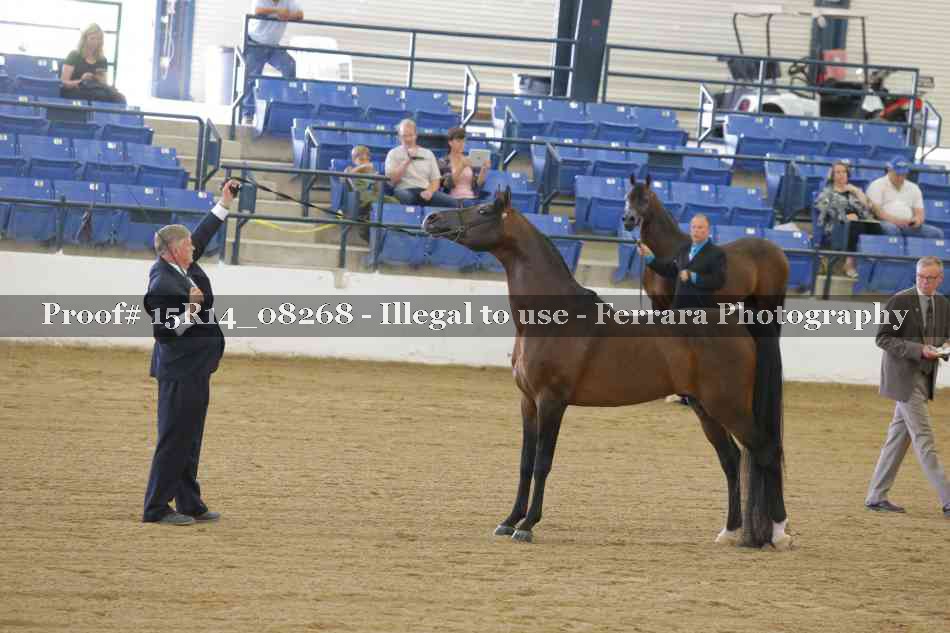 Proof Number 15R14_08268
