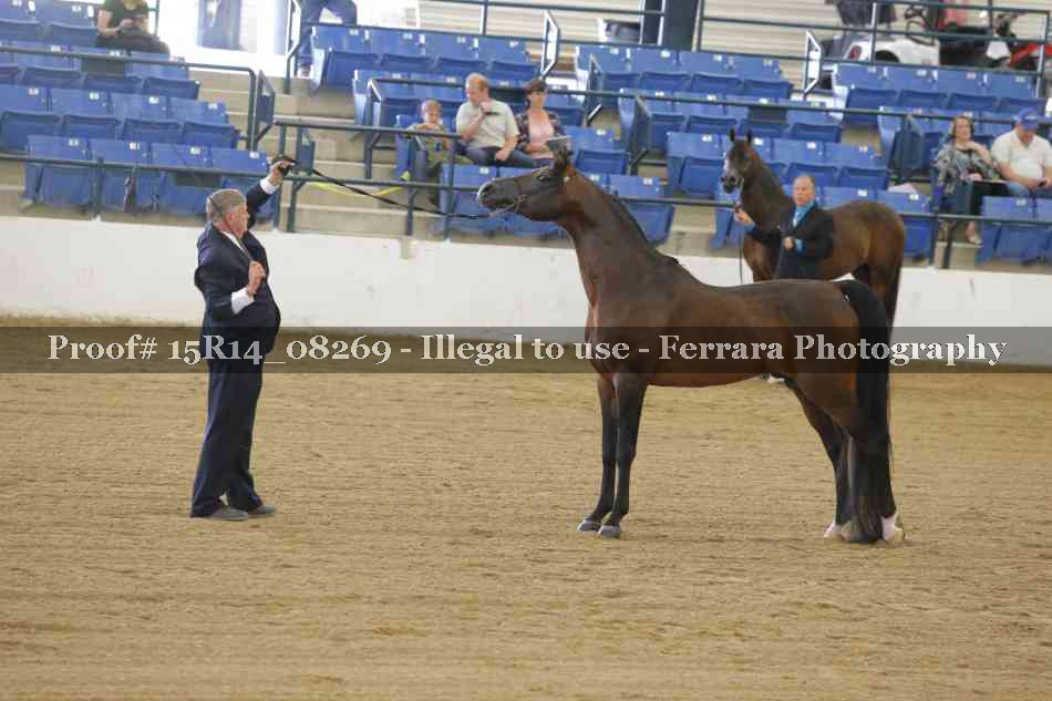 Proof Number 15R14_08269