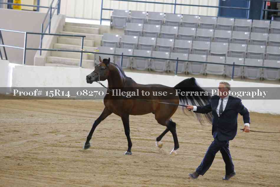 Proof Number 15R14_08270