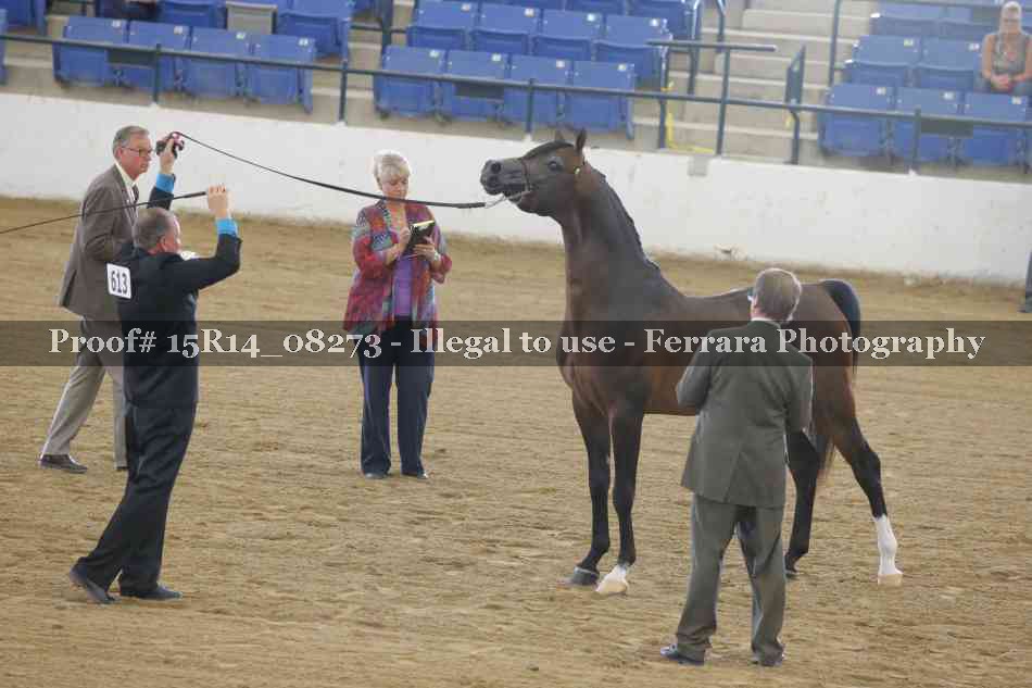 Proof Number 15R14_08273
