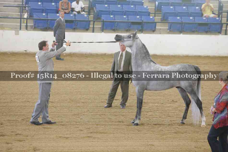 Proof Number 15R14_08276
