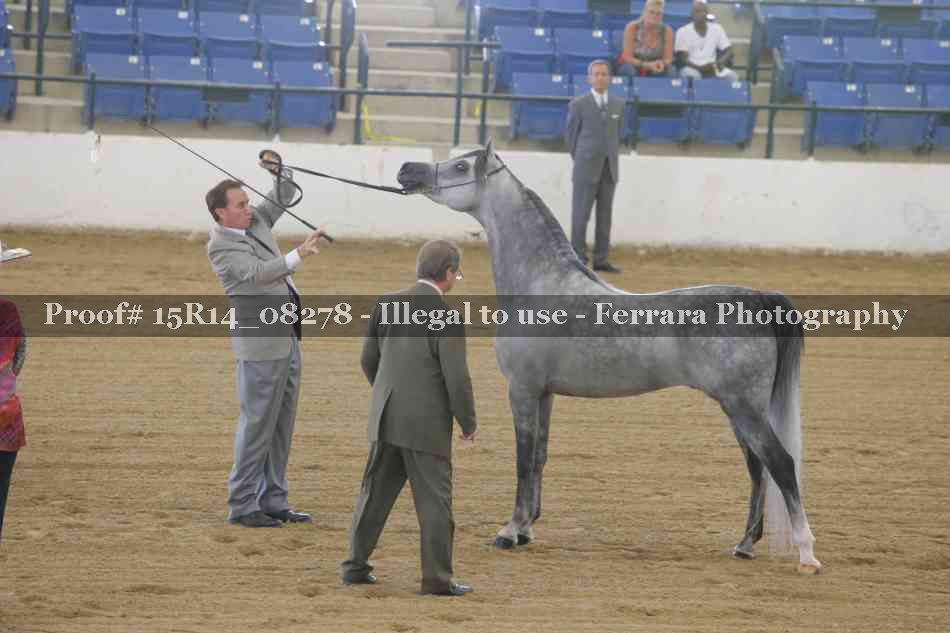 Proof Number 15R14_08278