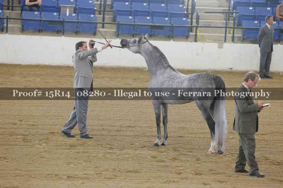 Proof Number 15R14_08280