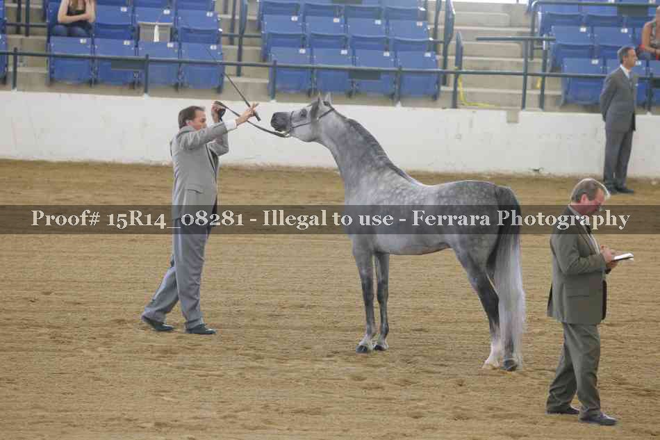 Proof Number 15R14_08281