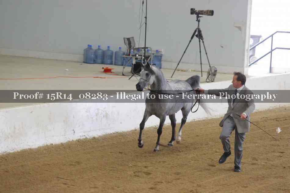 Proof Number 15R14_08283