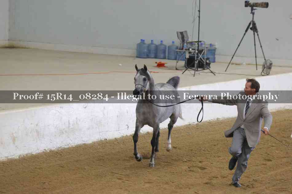 Proof Number 15R14_08284