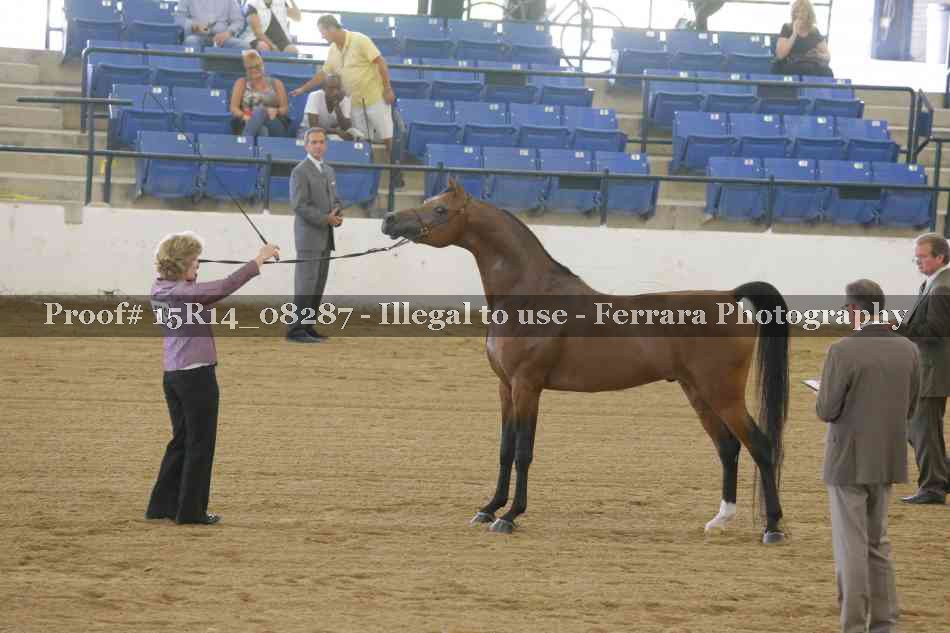 Proof Number 15R14_08287