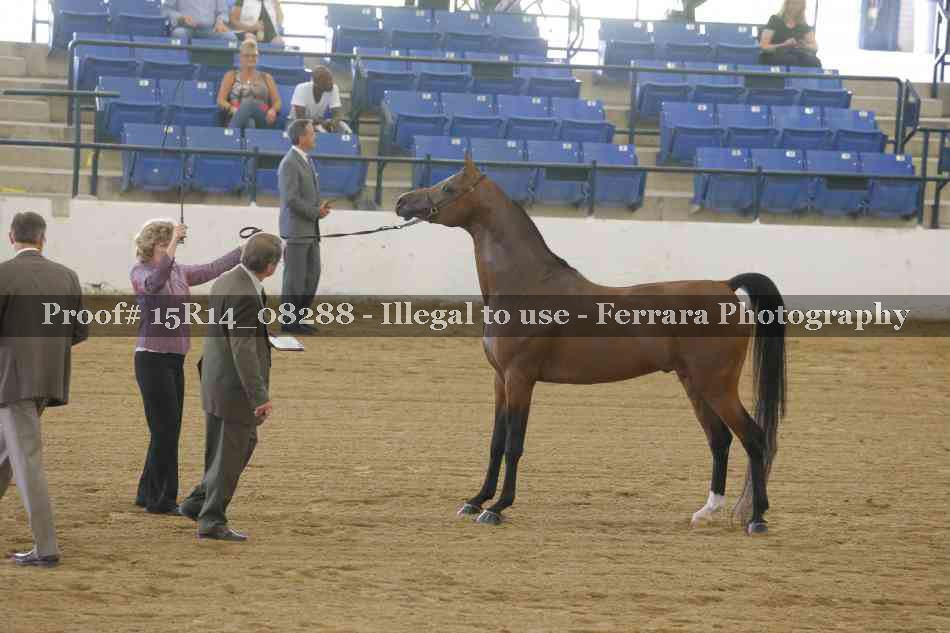 Proof Number 15R14_08288