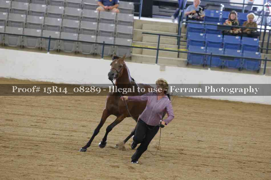 Proof Number 15R14_08289