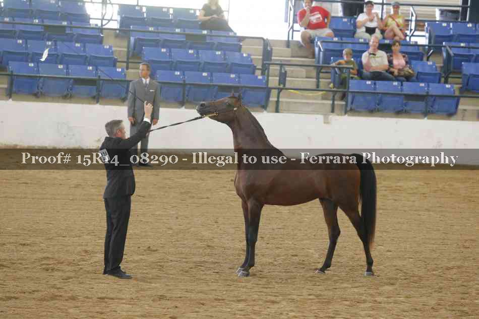 Proof Number 15R14_08290