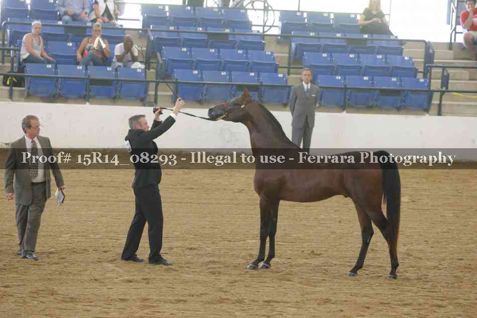 Proof Number 15R14_08293