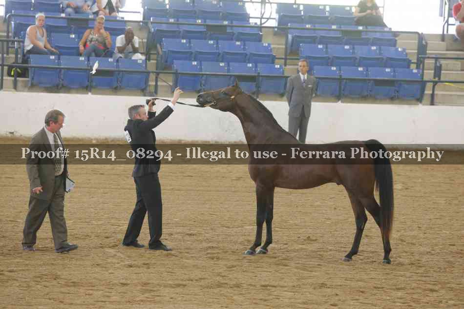 Proof Number 15R14_08294
