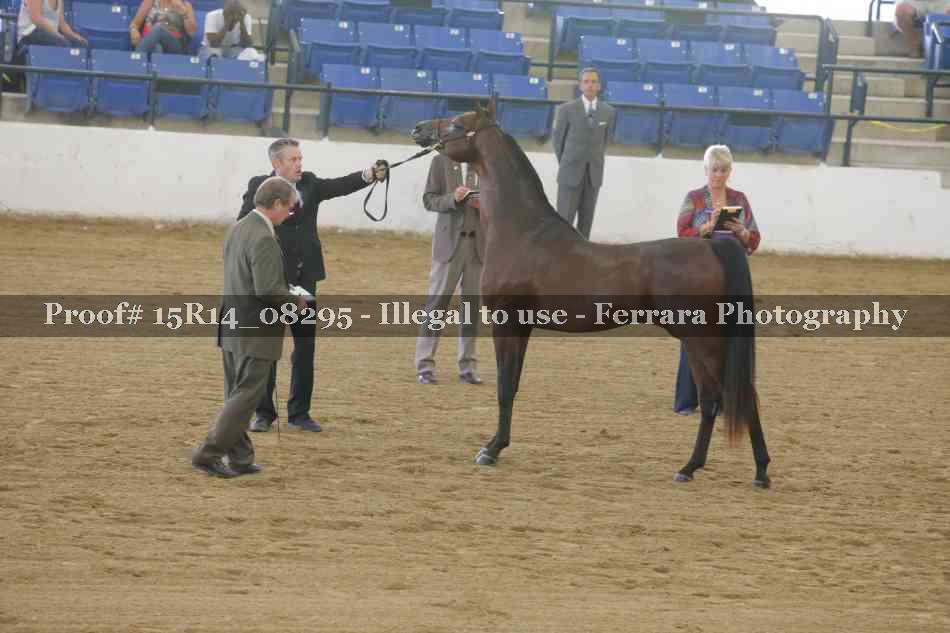 Proof Number 15R14_08295