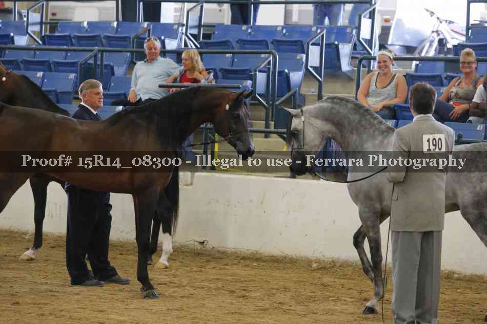 Proof Number 15R14_08300