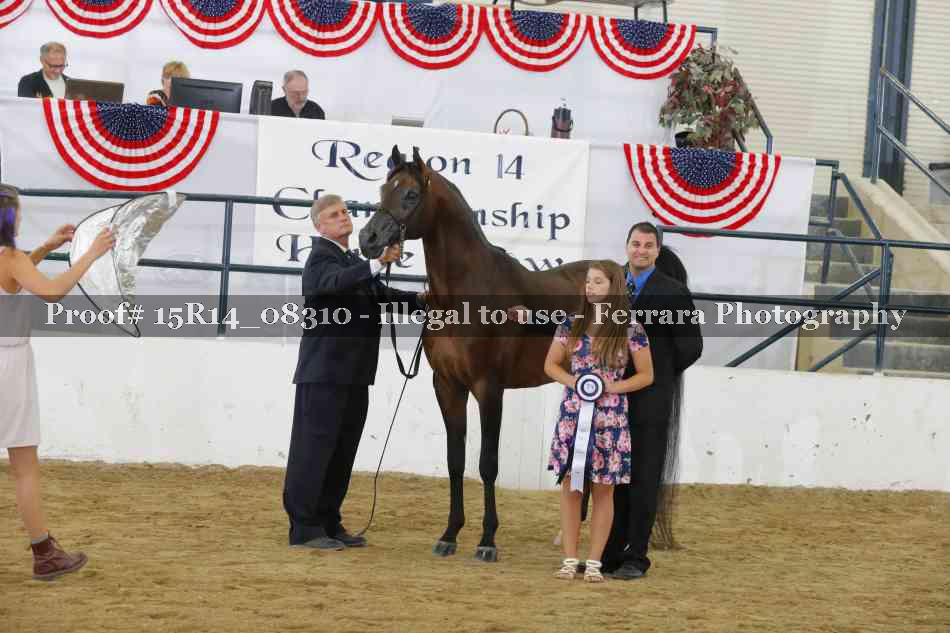 Proof Number 15R14_08310