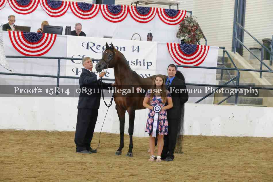 Proof Number 15R14_08311