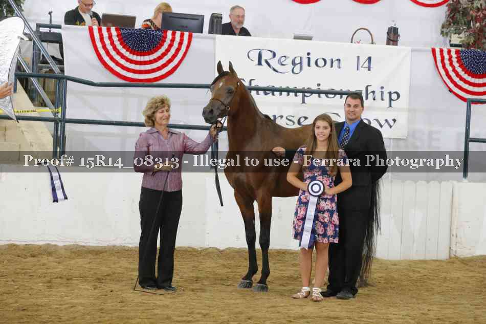 Proof Number 15R14_08313