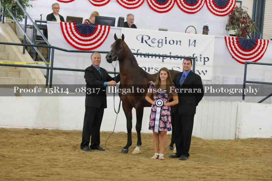 Proof Number 15R14_08317
