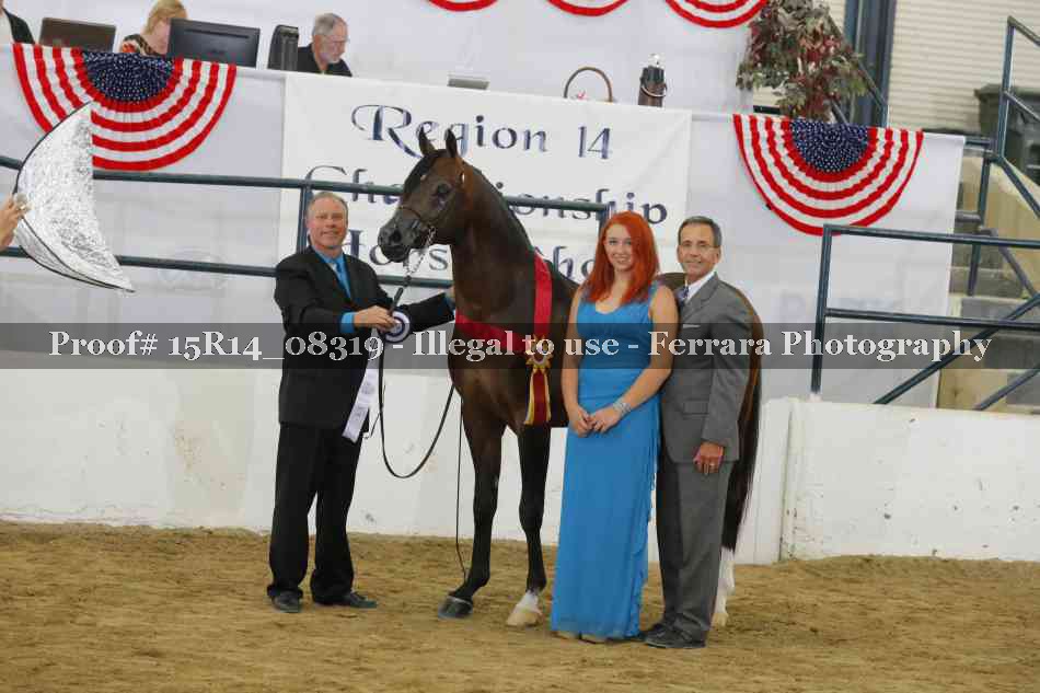Proof Number 15R14_08319