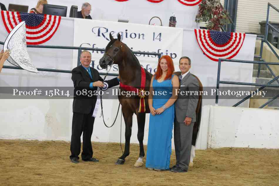 Proof Number 15R14_08320