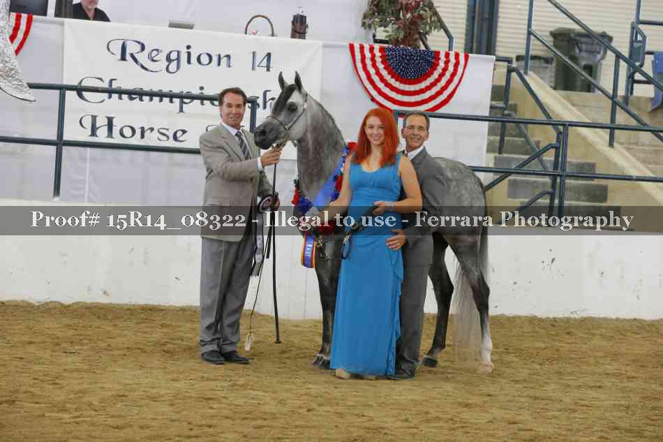 Proof Number 15R14_08322