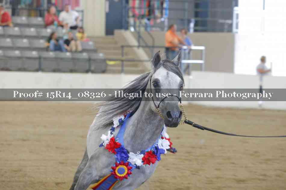 Proof Number 15R14_08326