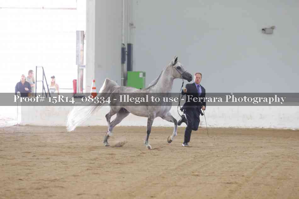 Proof Number 15R14_08334