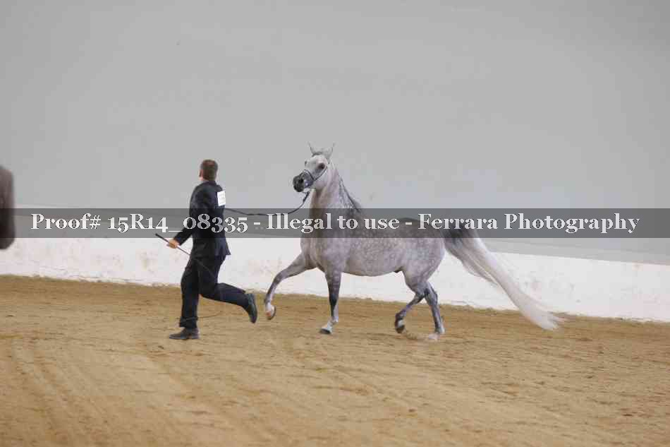 Proof Number 15R14_08335