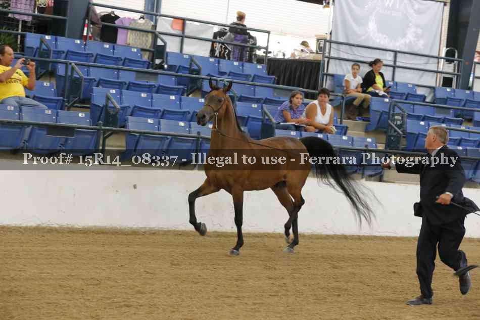 Proof Number 15R14_08337