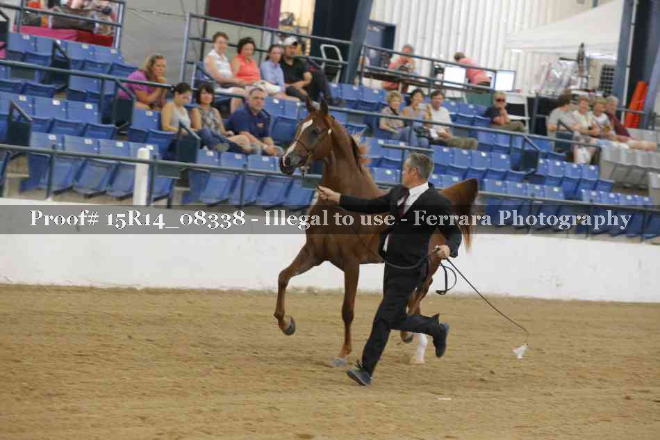 Proof Number 15R14_08338