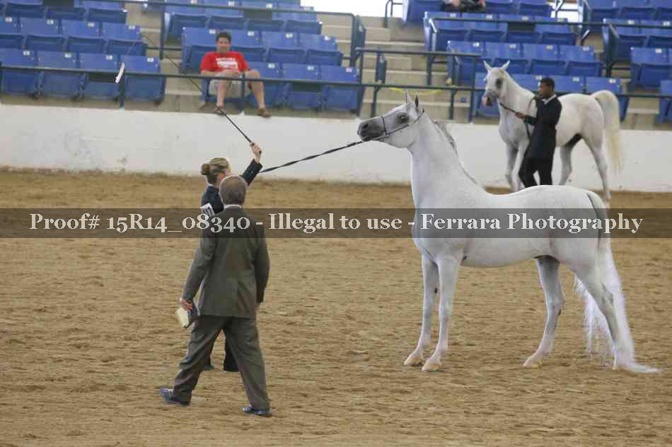 Proof Number 15R14_08340