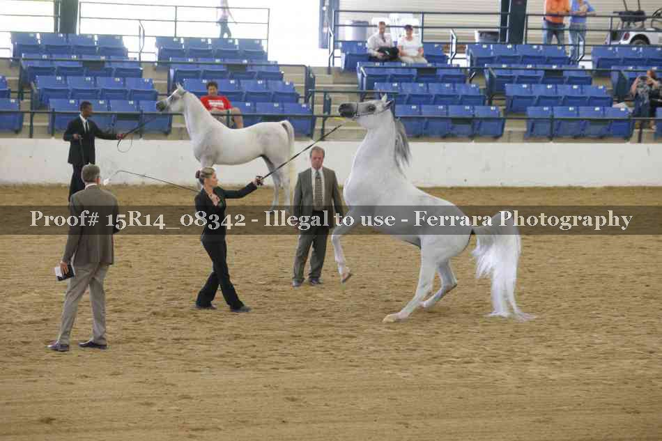 Proof Number 15R14_08342