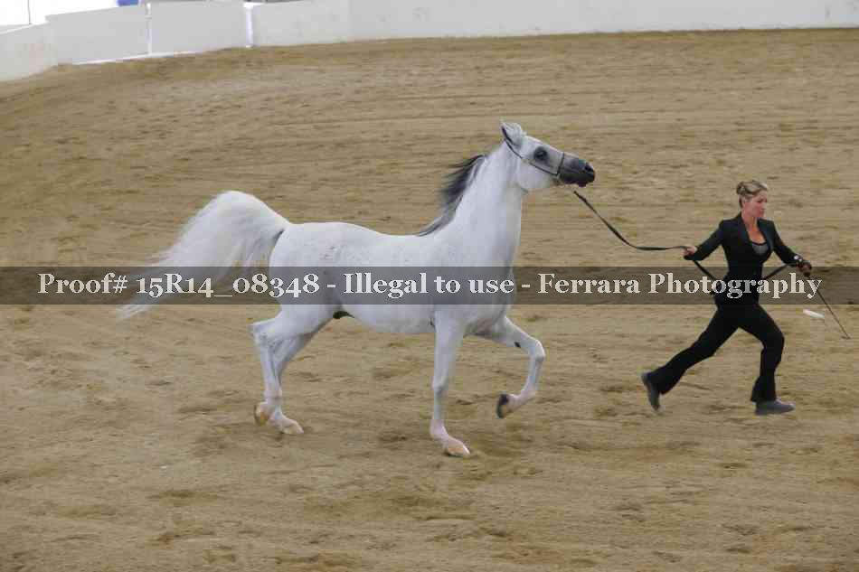 Proof Number 15R14_08348