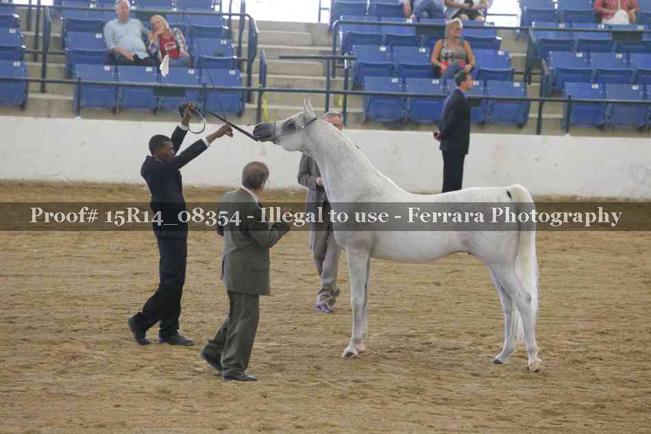 Proof Number 15R14_08354