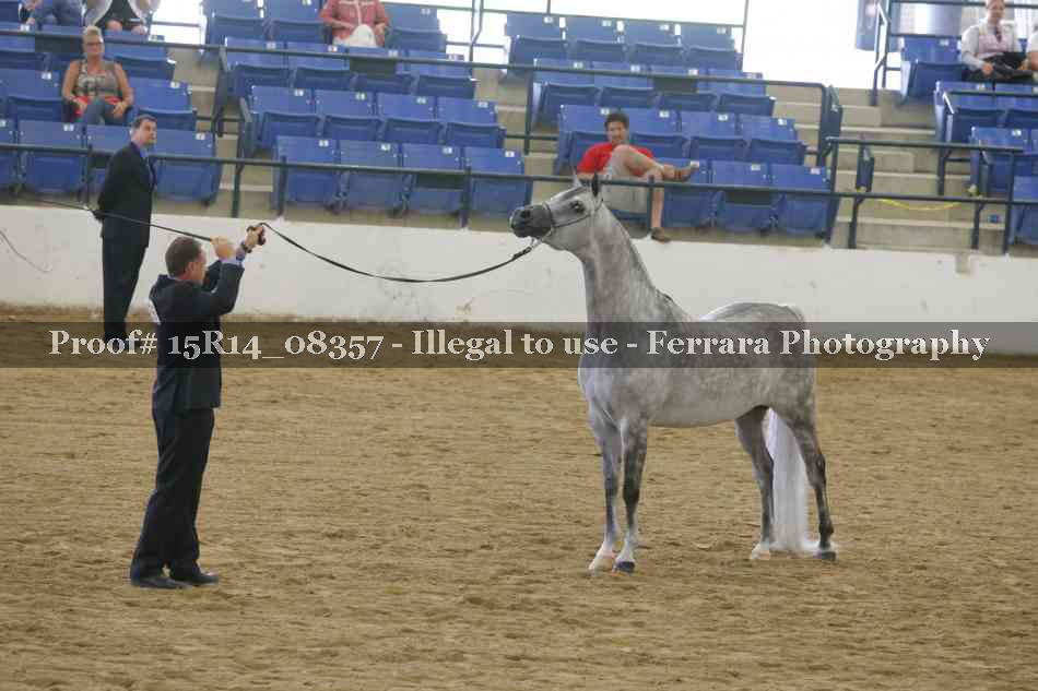 Proof Number 15R14_08357