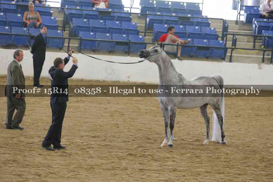 Proof Number 15R14_08358