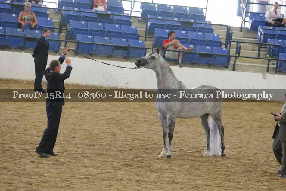 Proof Number 15R14_08360