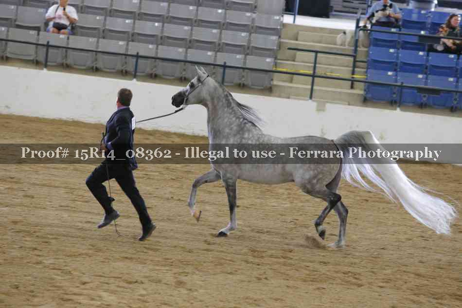 Proof Number 15R14_08362