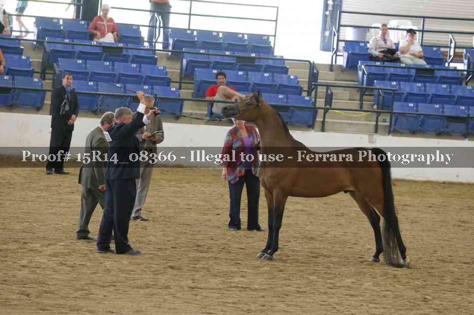 Proof Number 15R14_08366