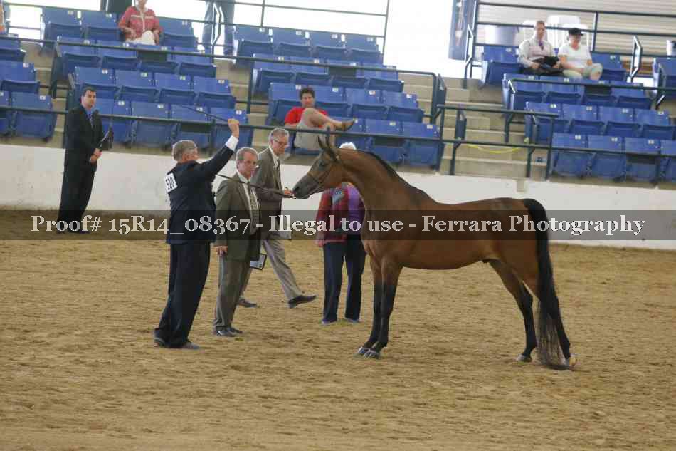 Proof Number 15R14_08367