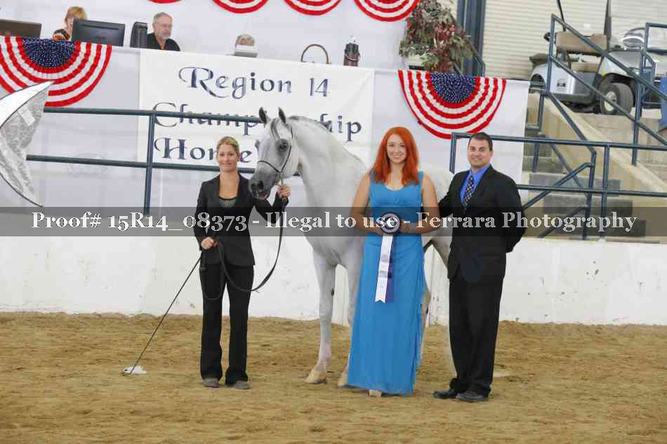 Proof Number 15R14_08373